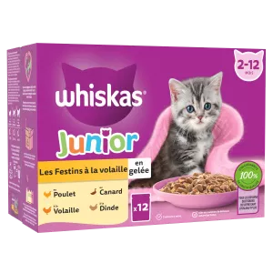Les Festins Poultry Feast Kätzchenfutter in Gelee X12 -  Whiskas