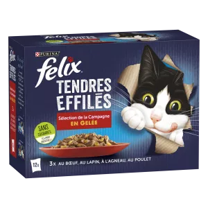 Futter für ausgewachsene Katzen mit geliertem Rind, Kaninchen, Lamm und Huhn, 12 x 85 g - PURINA FELIX