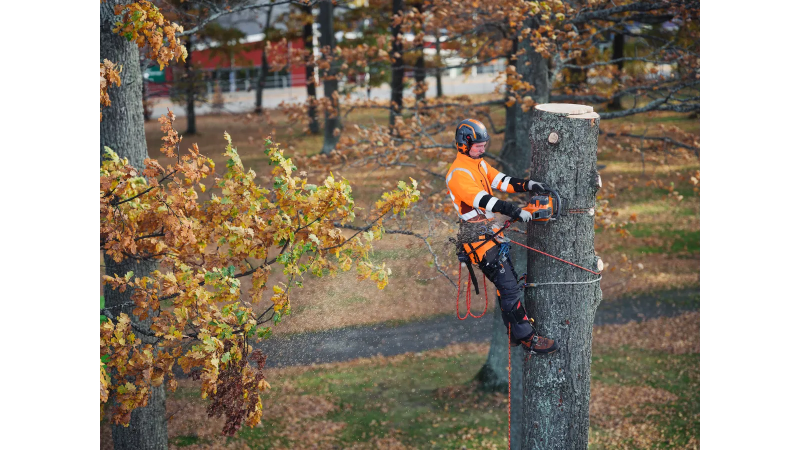 Husqvarna 550i XP® – Bild 5
