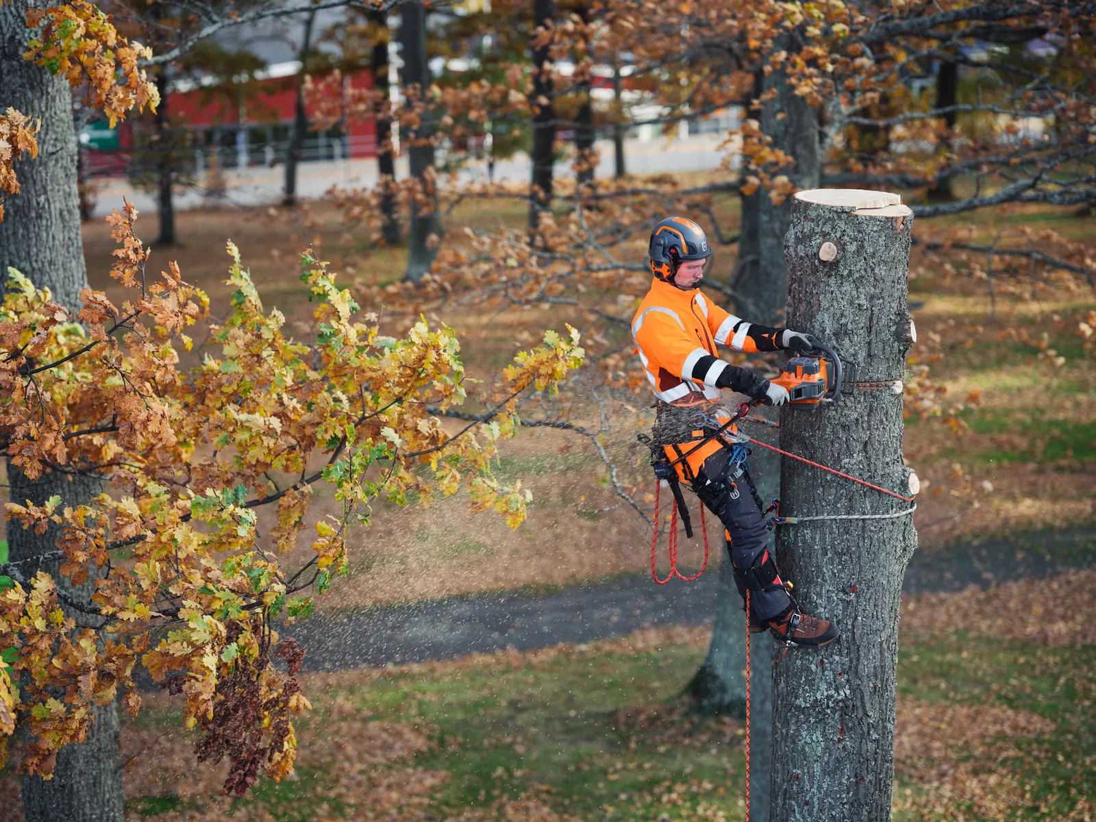 Husqvarna 550i XP® – Bild 6