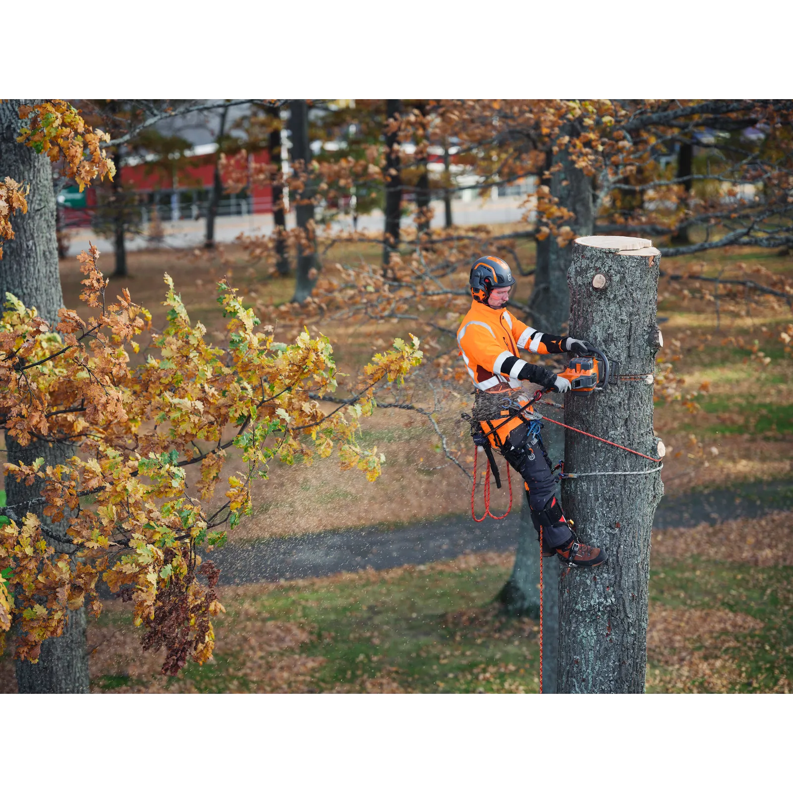 Husqvarna 550i XP® – Bild 4